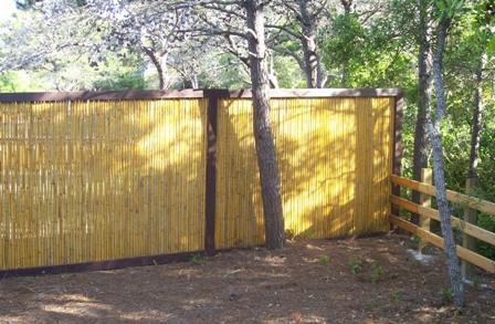 bamboo privacy fence