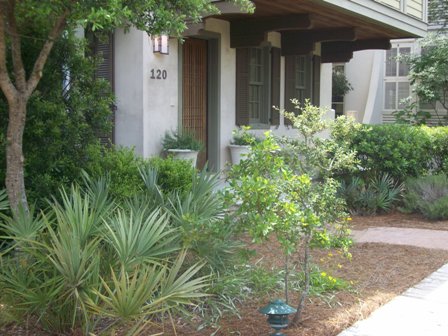 Front yard landscaping ideas: Make the most of your front yard landscaping
