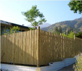 bamboo fencing